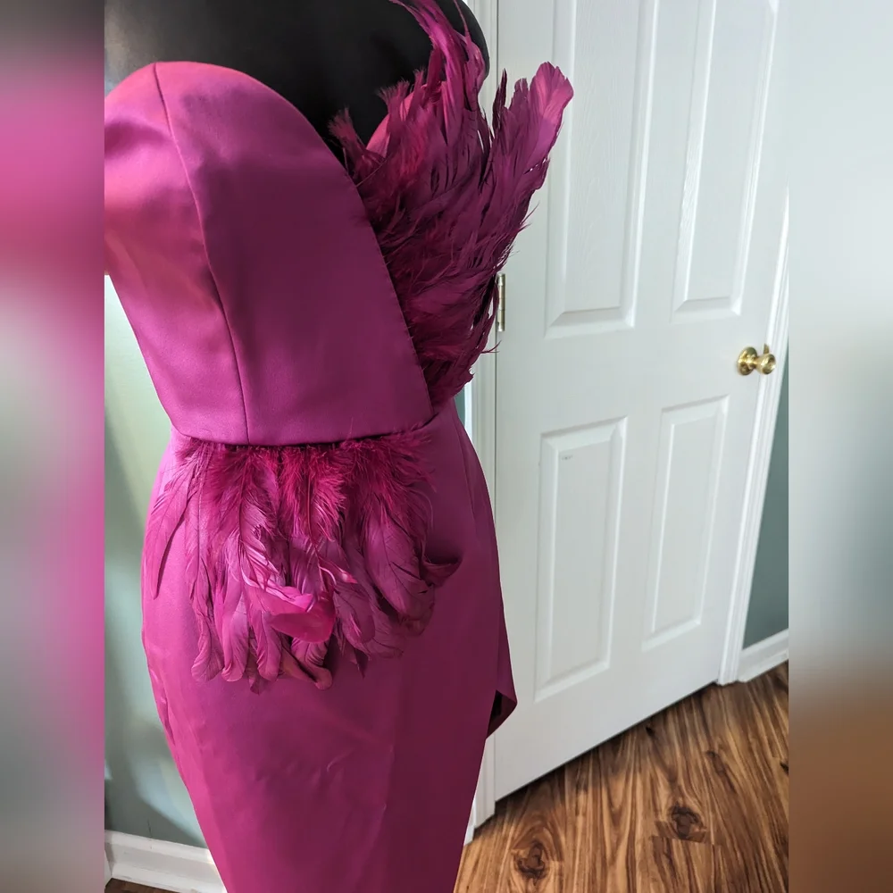 Maxi Asymmetrical dress with feather embellishments - Picture 5 of 7